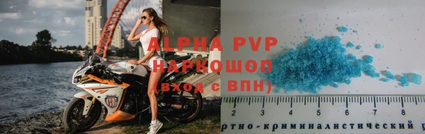 мяу мяу мука Иннополис