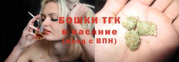 ПСИЛОЦИБИНОВЫЕ ГРИБЫ Карпинск