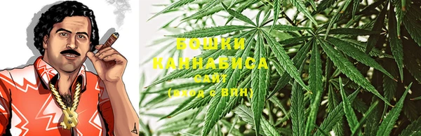 мяу мяу мука Иннополис