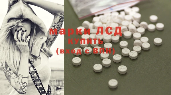 ГАЛЛЮЦИНОГЕННЫЕ ГРИБЫ Касимов