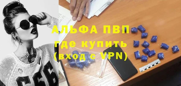 мяу мяу мука Иннополис