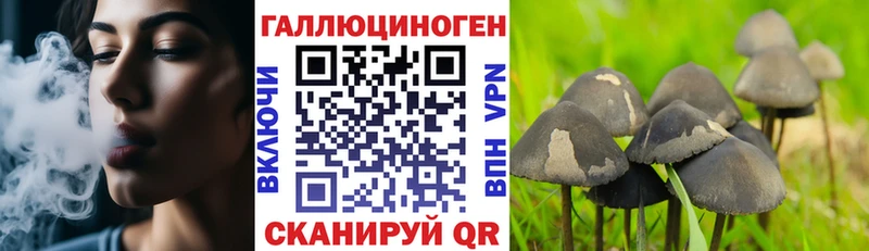 Псилоцибиновые грибы Psilocybine cubensis  Купить закладки  Льгов 